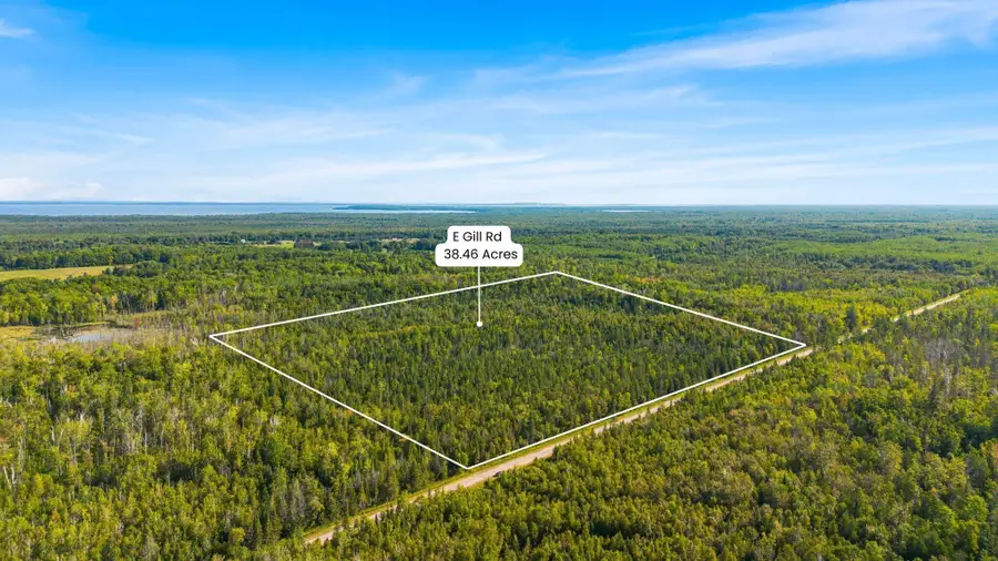 V/L 38.46A E Gill Road, Carp Lake, MI 49718 - #3