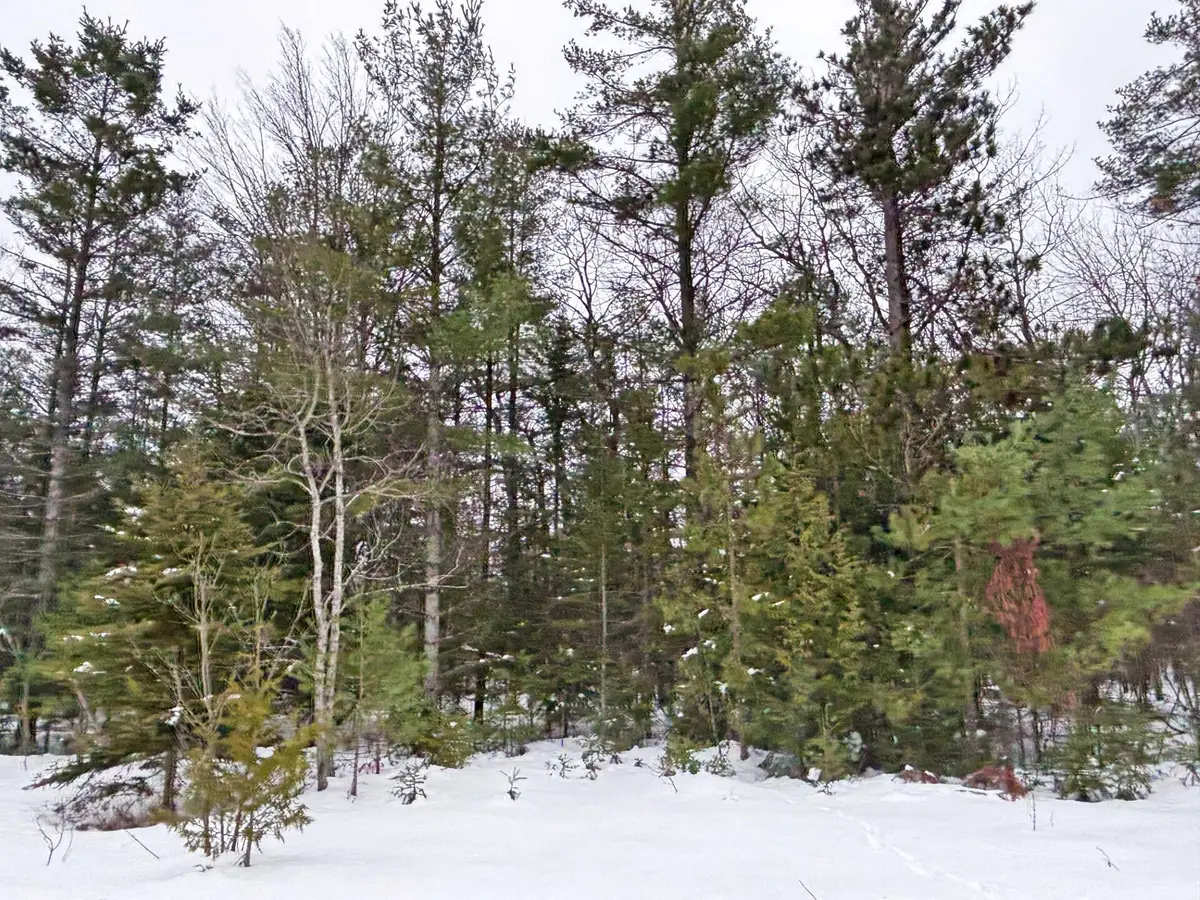 Lot 311 Kauffman Road, Presque Isle, MI 49777 - Image #1