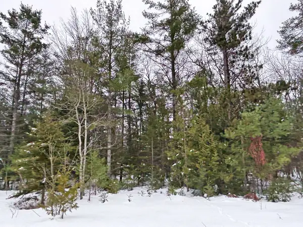 Lot 311 Kauffman Road, Presque Isle, MI 49777