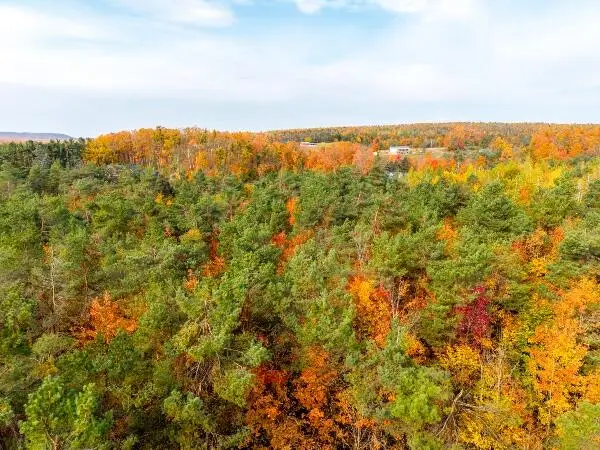 V/L Par 98 Wildwood Trail, Vanderbilt, MI 49795 - Image #3