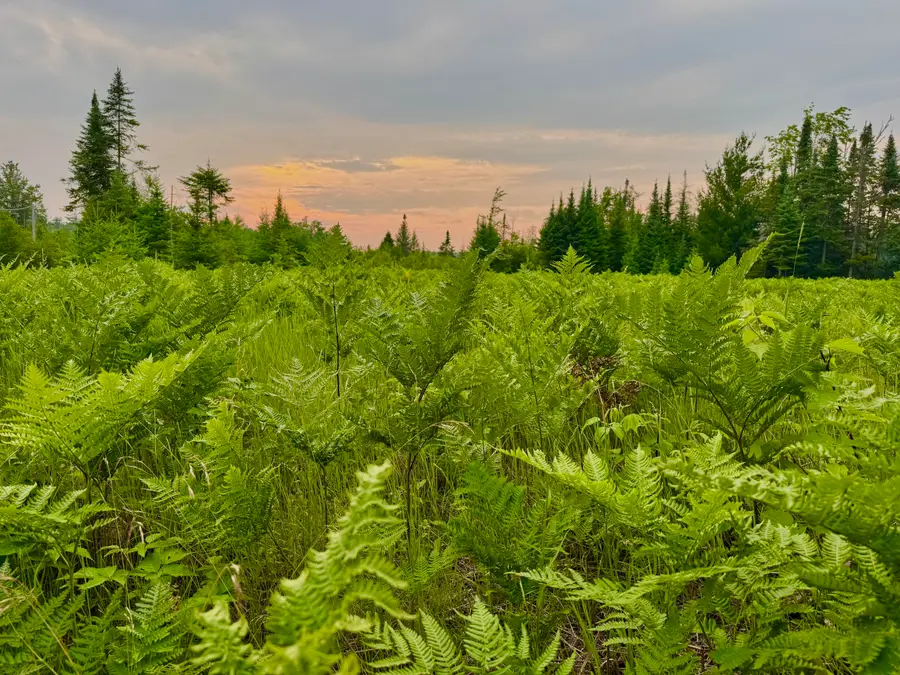 6378 Macey Lane, Alpena, MI 49707 - Image #3