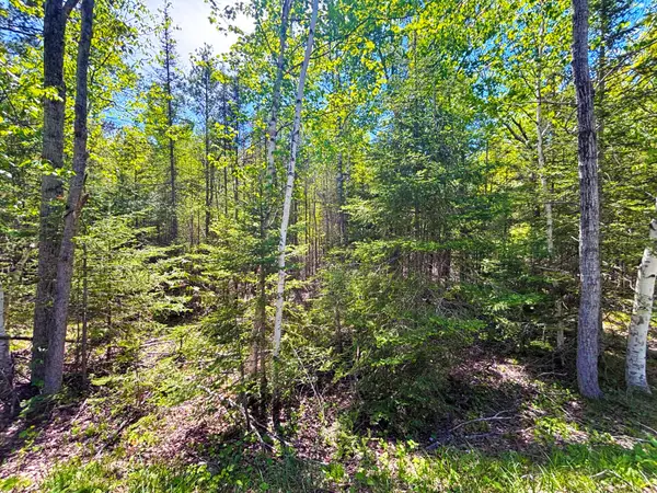 Lot 118 Timberway Drive, Presque Isle, MI 49777