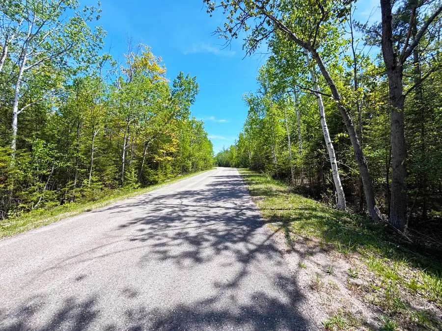 Lot 118 Timberway Drive, Presque Isle, MI 49777 - #3