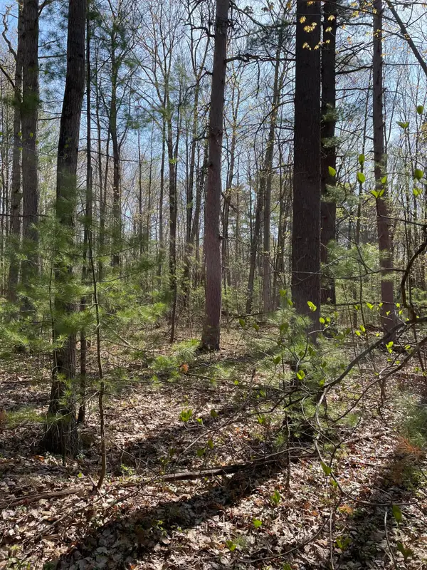 10 Lots Arthur Street, Topinabee, MI 49791