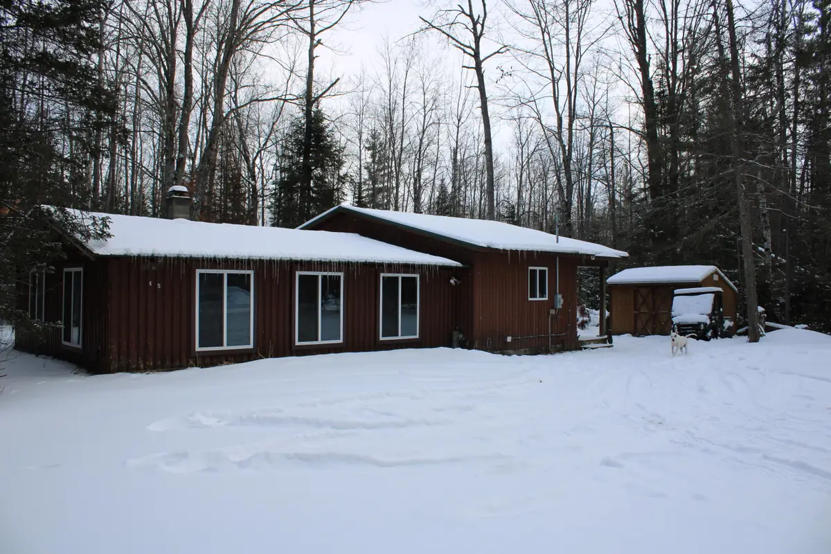 43 Thompson Road, Mio, MI 48647 - Image #1