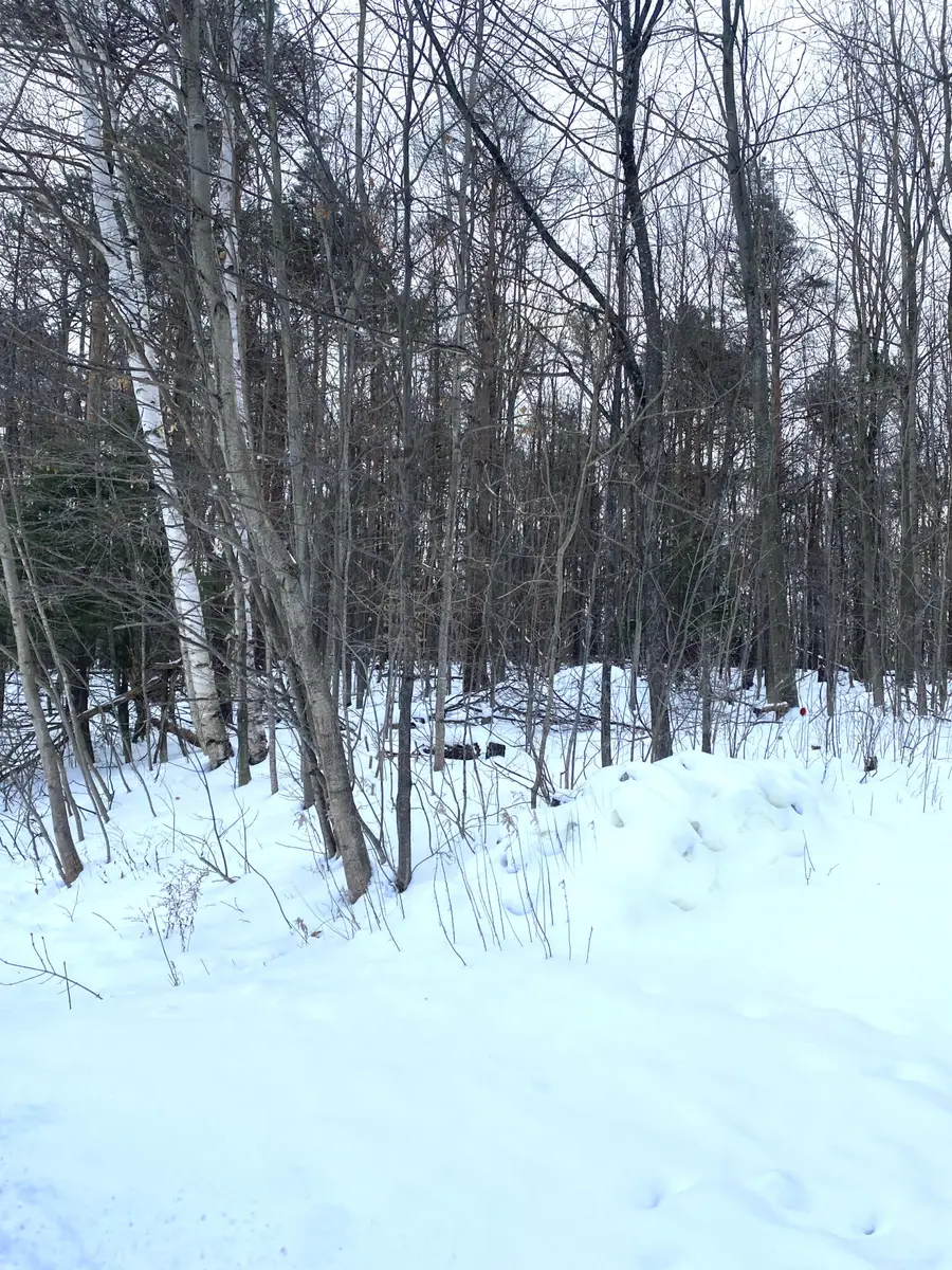 8667 W Black Lane, Cheboygan, MI 49721 - Image #2