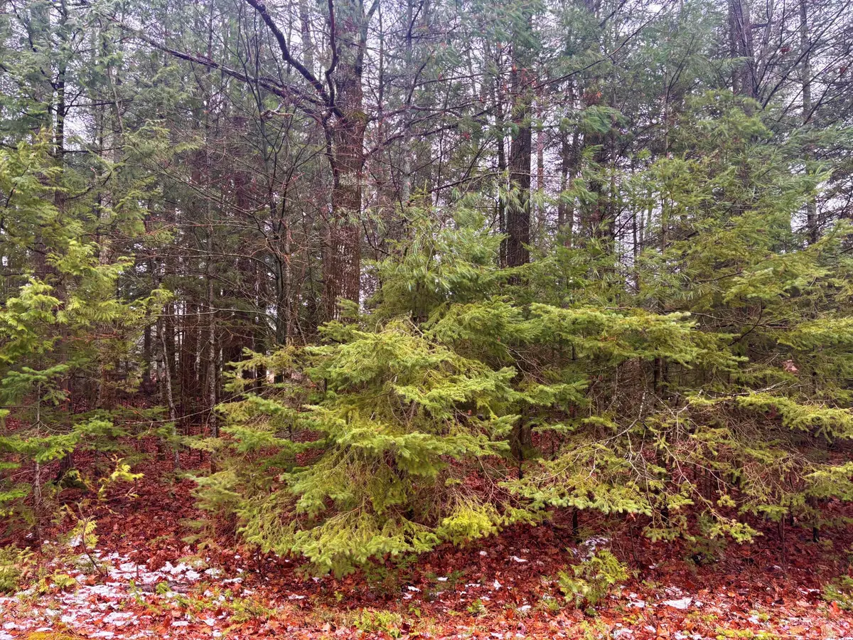 Lot 62-63 Belfair Drive, Presque Isle, MI 49777 - #1