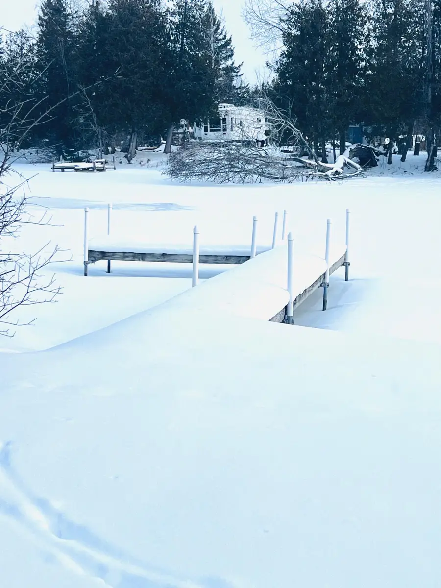 6637 Forsyth Drive, Cheboygan, MI 49721 - #3