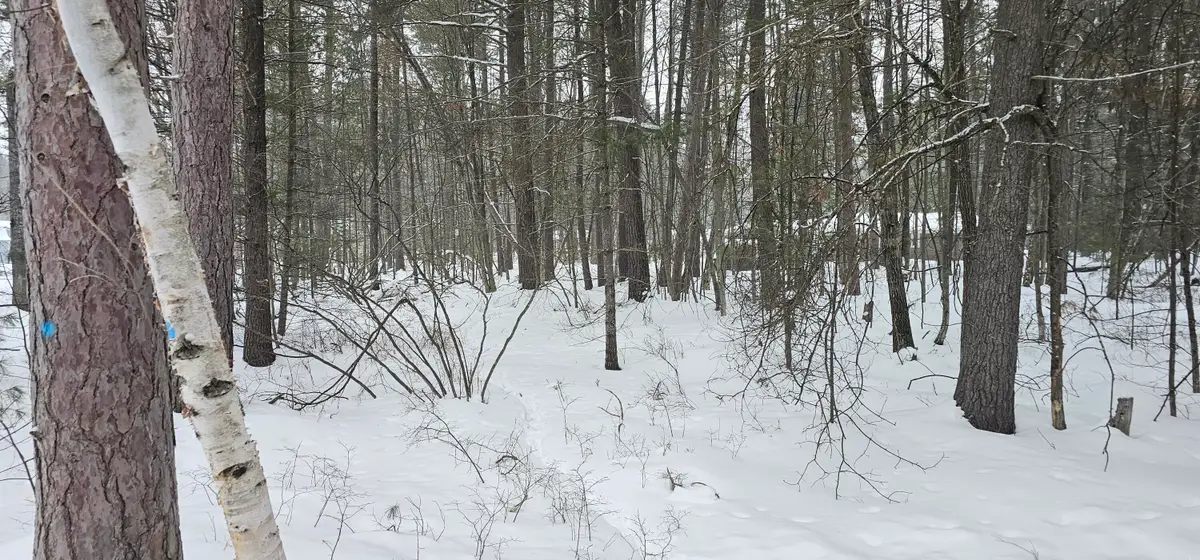 V/L Lot 1 Higgins Wood Drive, Roscommon, MI 48653 - #1