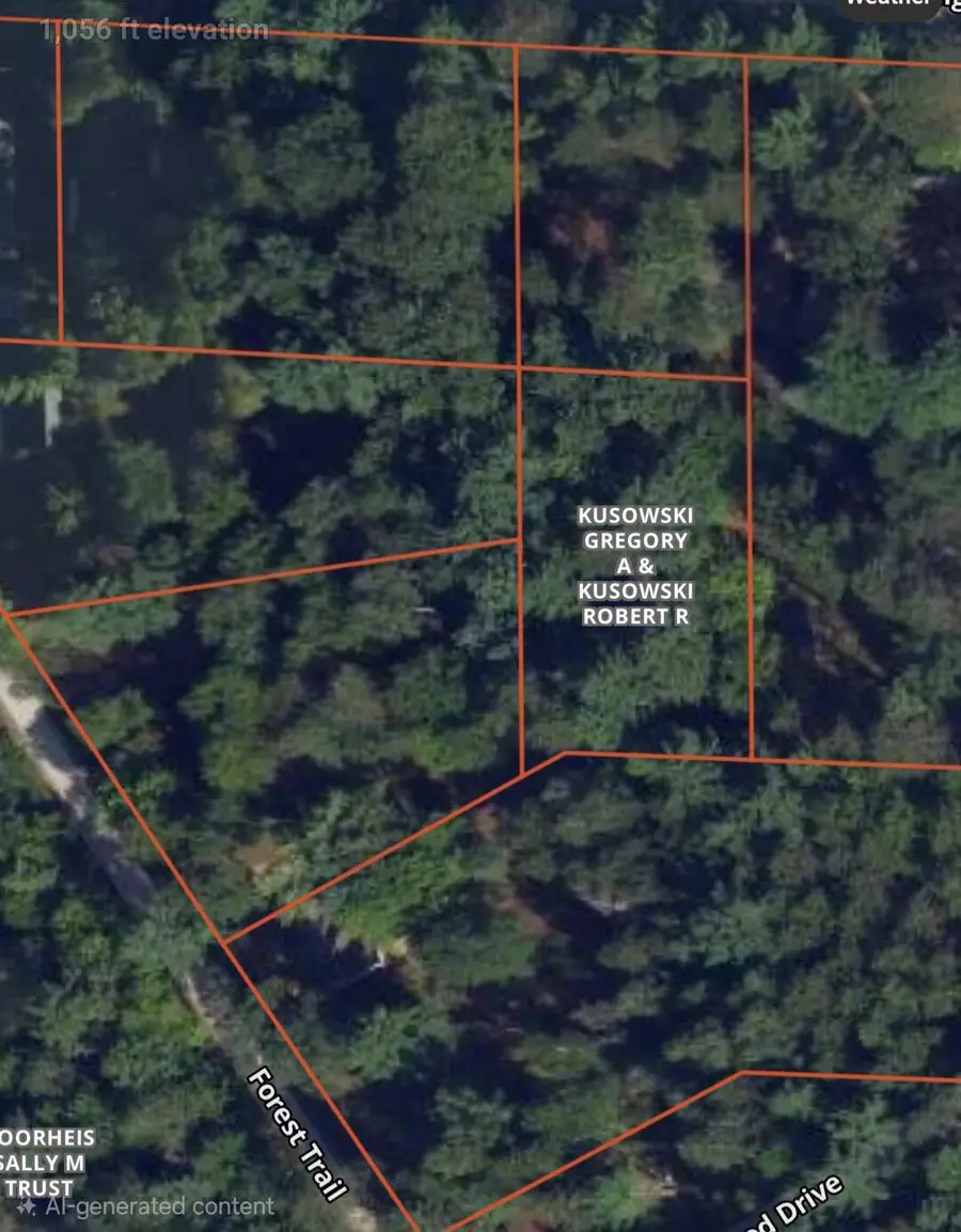 V/L Lot 1 Higgins Wood Drive, Roscommon, MI 48653 - #2