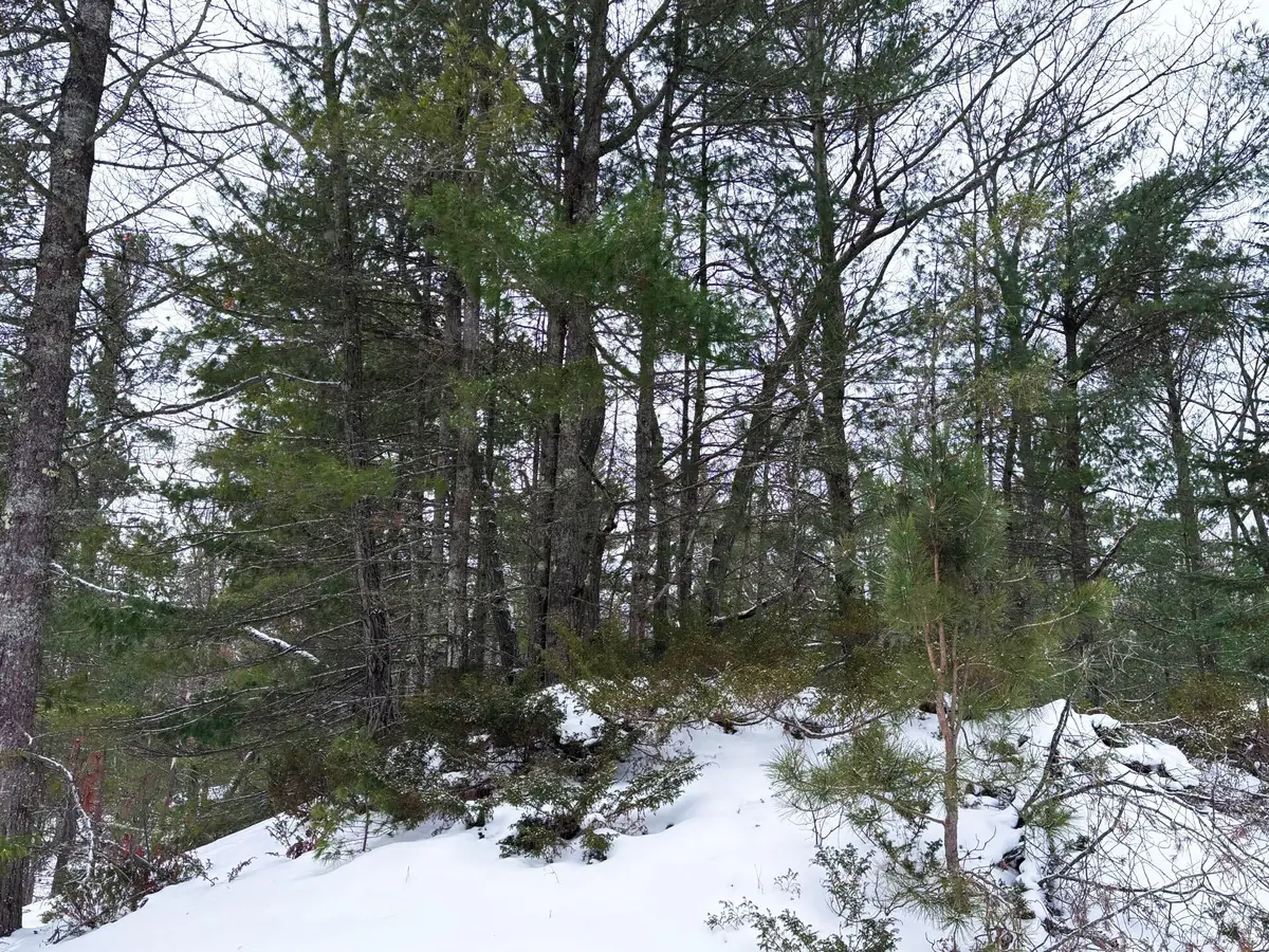 Lots 1-5 Larch Road, Rogers City, MI 49779 - #1