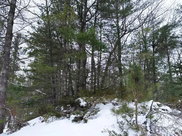 Lots 1-5 Larch Road, Rogers City, MI 49779