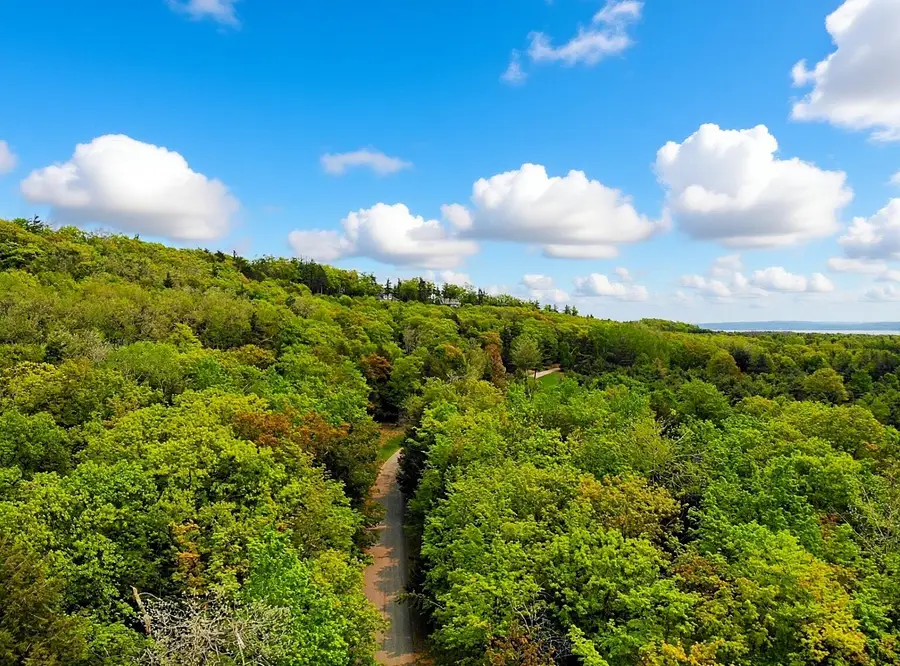 5945 Lodgepole Road, Harbor Springs, MI 49740 - #3