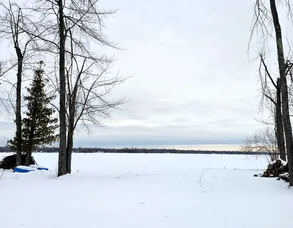 13491 Eltony Lane, Posen, MI 49776