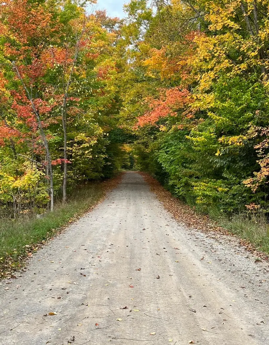 10.08 AC Tower Road, Vanderbilt, MI 49795 - #3