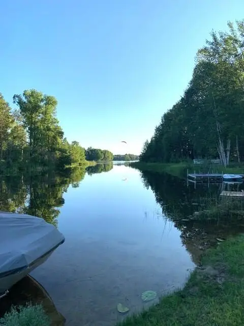 15202 Lakeview Drive, Wolverine, MI 49799 - #2