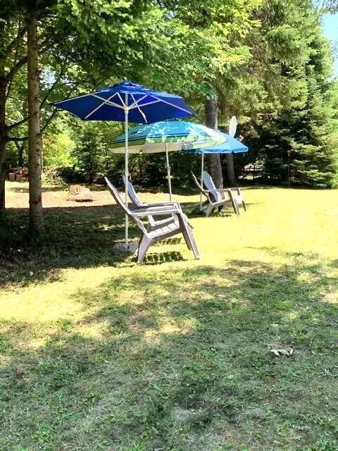 15202 Lakeview Drive, Wolverine, MI 49799 - #3