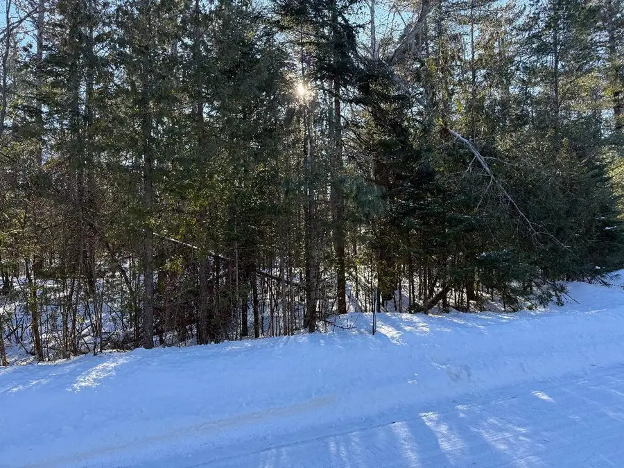 8320 Cordwood Trail, Cheboygan, MI 49721 - #3