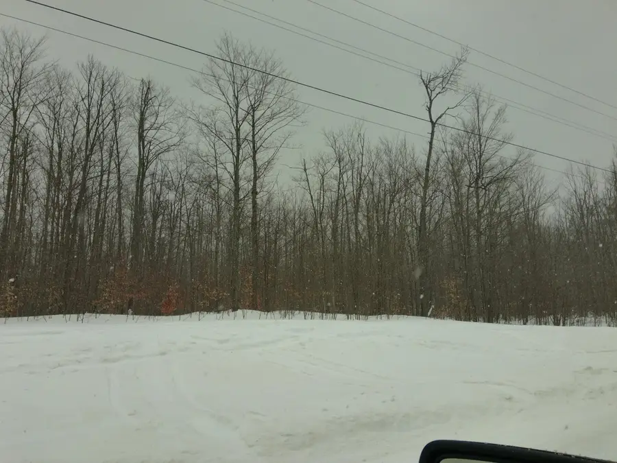 Parcel L Turtle Mill Trail, Gaylord, MI 49735 - #3