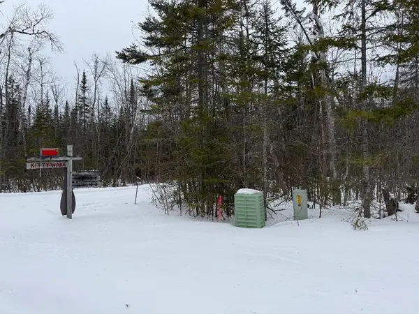 Lot 444 Kittywake Lane, Ocqueoc, MI 49759