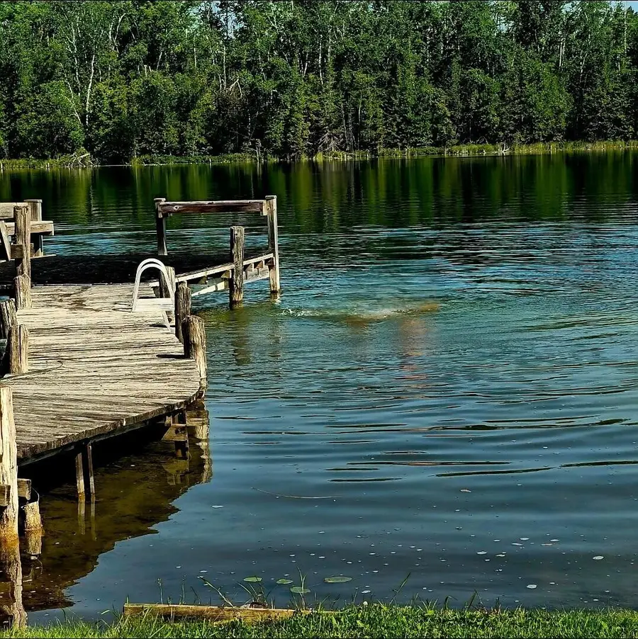 5699 S Smith Road, Cheboygan, MI 49721 - #2