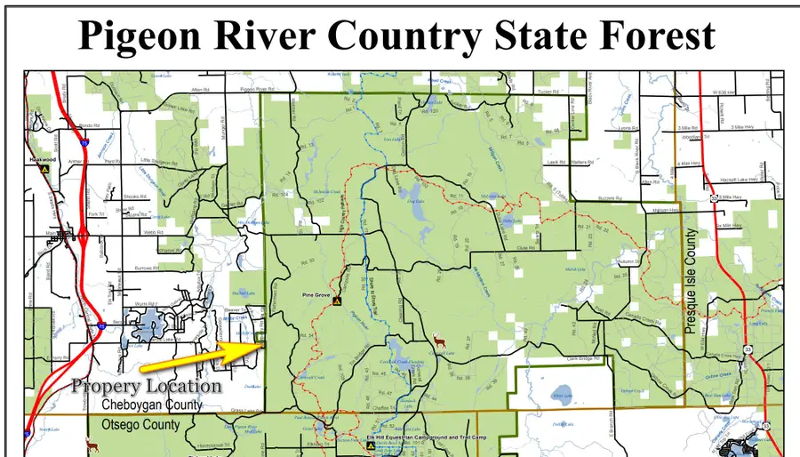 V/L N10 AC Barberry Drive, Wolverine, MI 49799 - #3