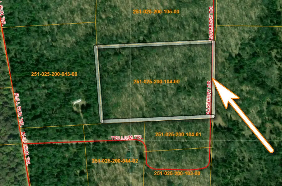 V/L S10AC Barberry Drive, Wolverine, MI 49799 - #1