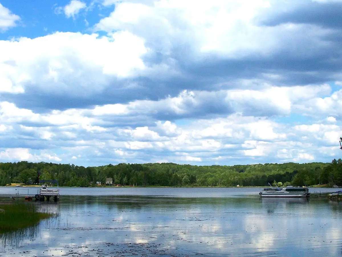 3472 High Pine Court, Wolverine, MI 49799 - #1