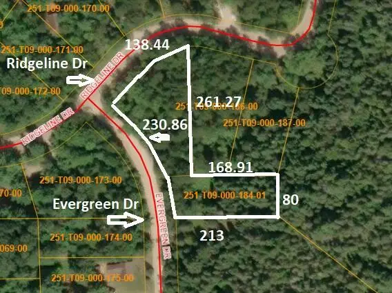 16844 Evergreen Drive, Wolverine, MI 49799 - #1