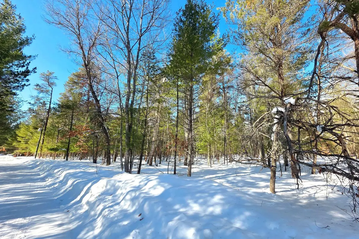 VL 20-29 Monroe Avenue, Grayling, MI 49738 - #1