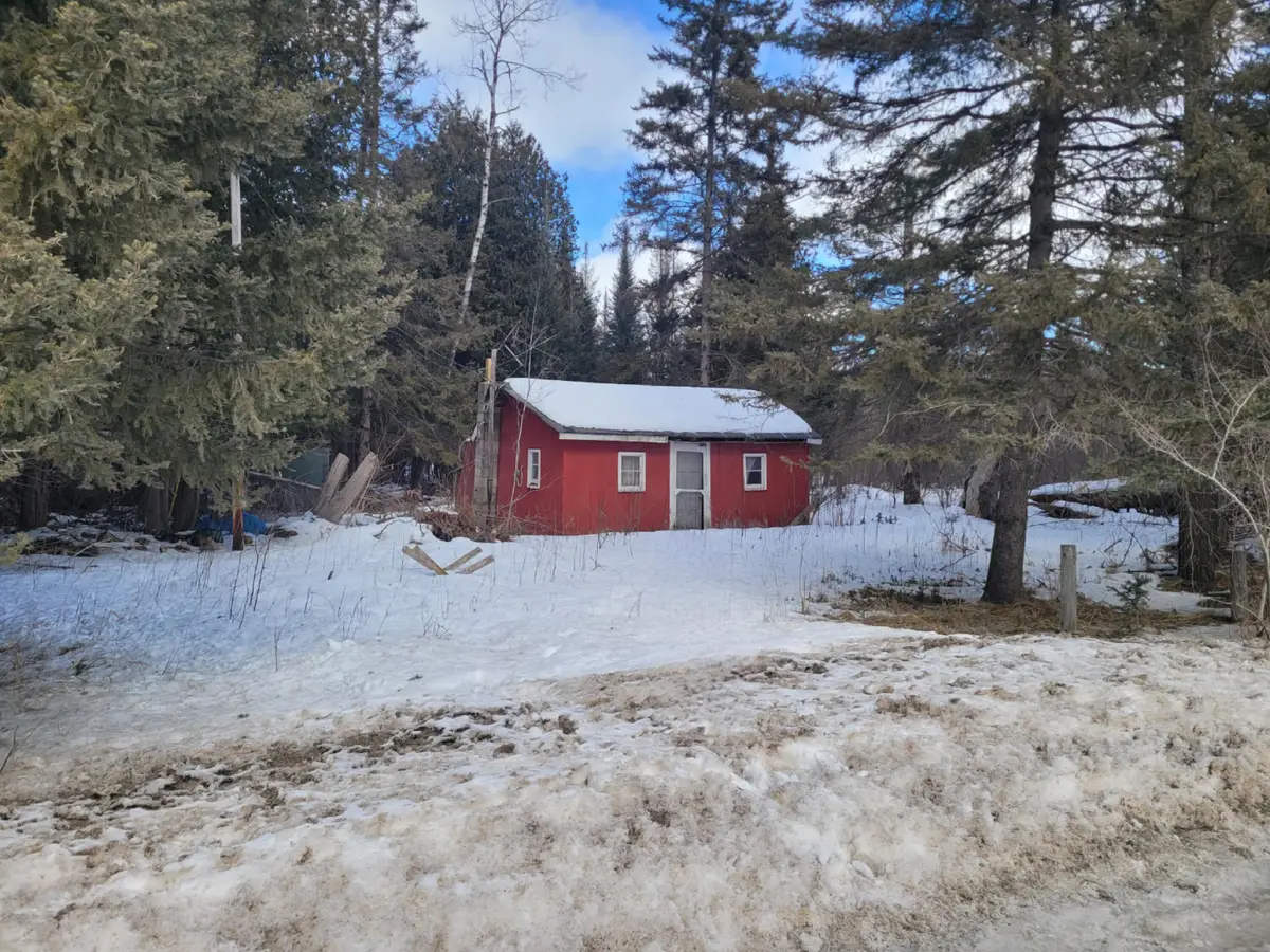 21454 Milligan Highway, Onaway, MI 49765 - #1