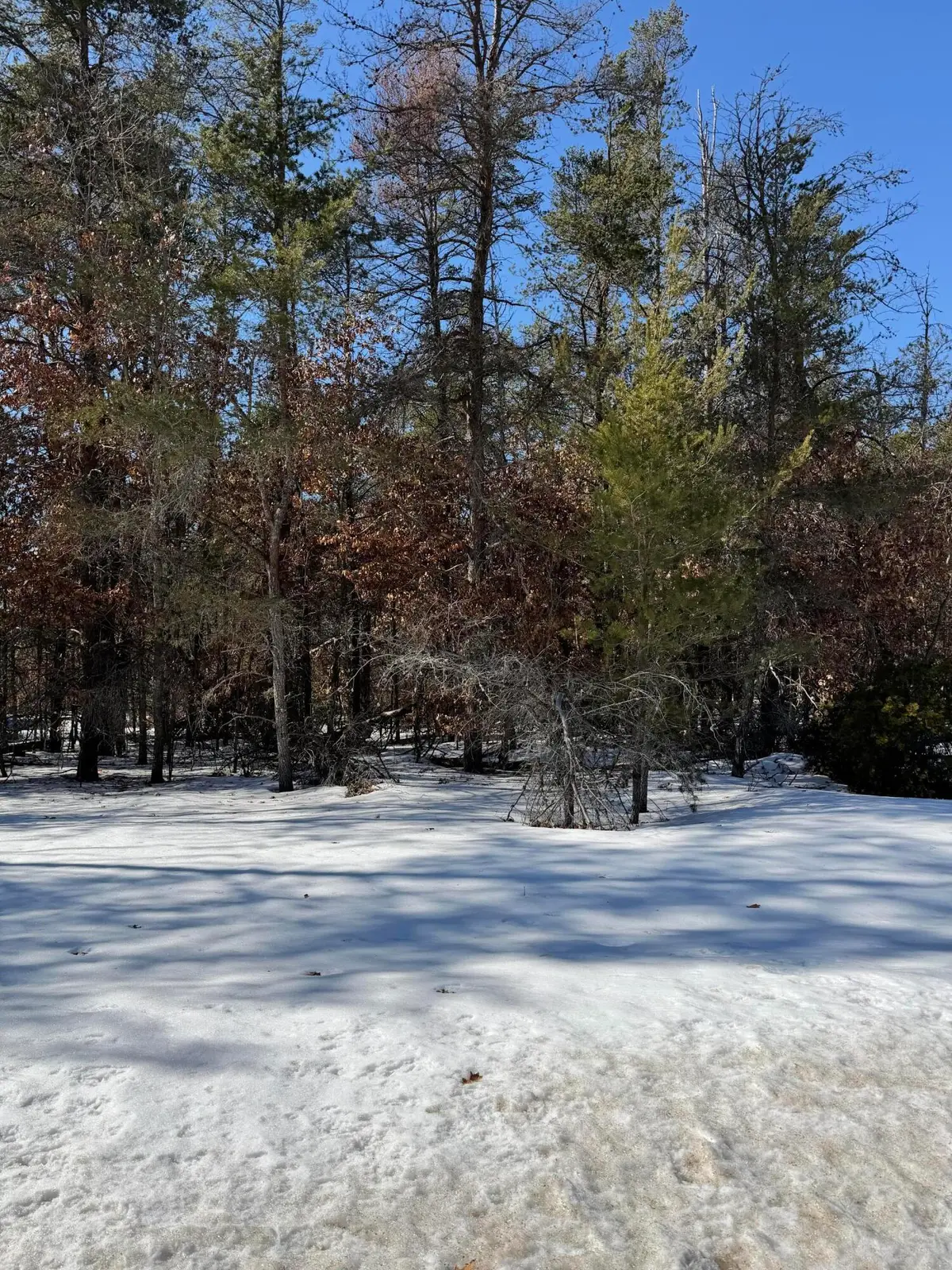Lot 22 S Stephan Bridge Road, Roscommon, MI 48653 - #1