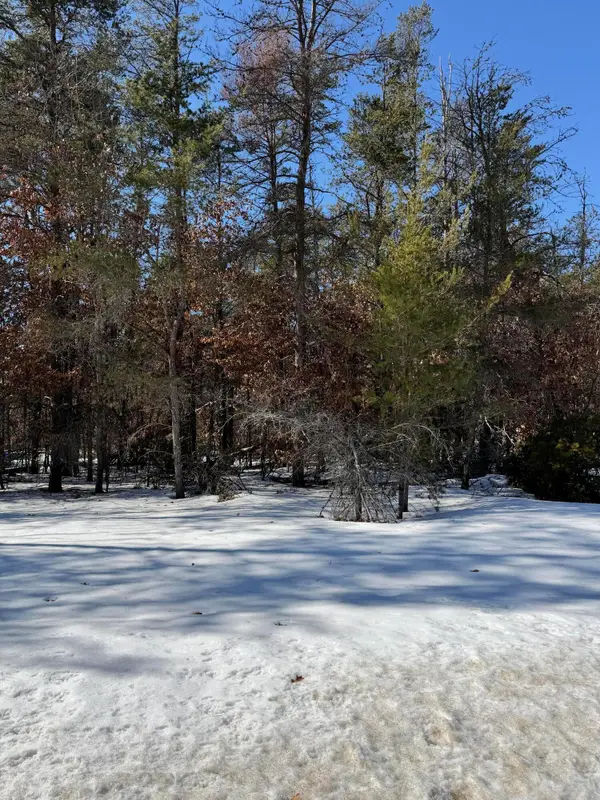 Lot 22 S Stephan Bridge Road, Roscommon, MI 48653