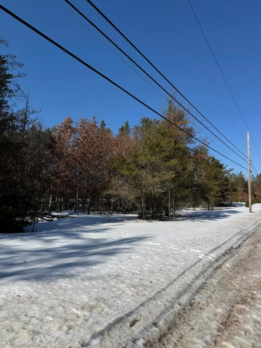 Lot 22 S Stephan Bridge Road, Roscommon, MI 48653 - #3