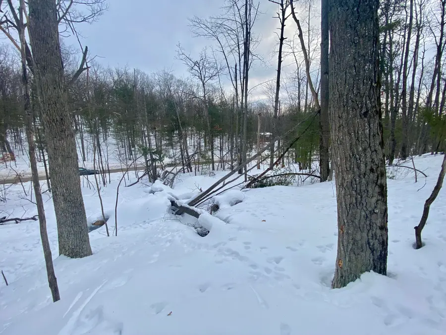 Lot 222 Fascination Drive, Frederic, MI 49733 - #2