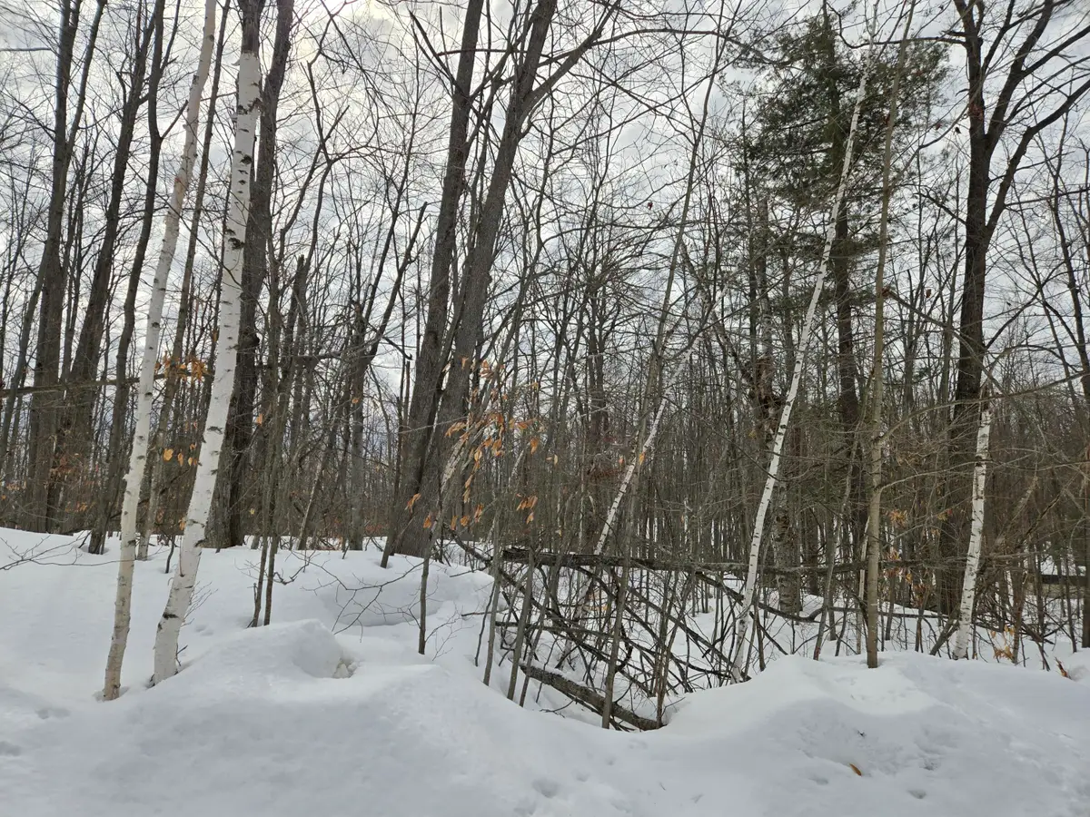 Lot 63 Sugarbush Drive, Gaylord, MI 49735 - #1