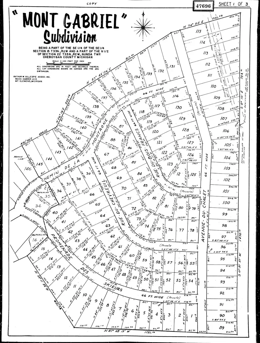15190 Promenade Des Skieurs, Wolverine, MI 49799 - #2