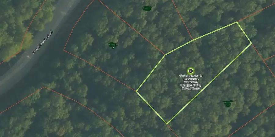 15190 Promenade Des Skieurs, Wolverine, MI 49799 - #3