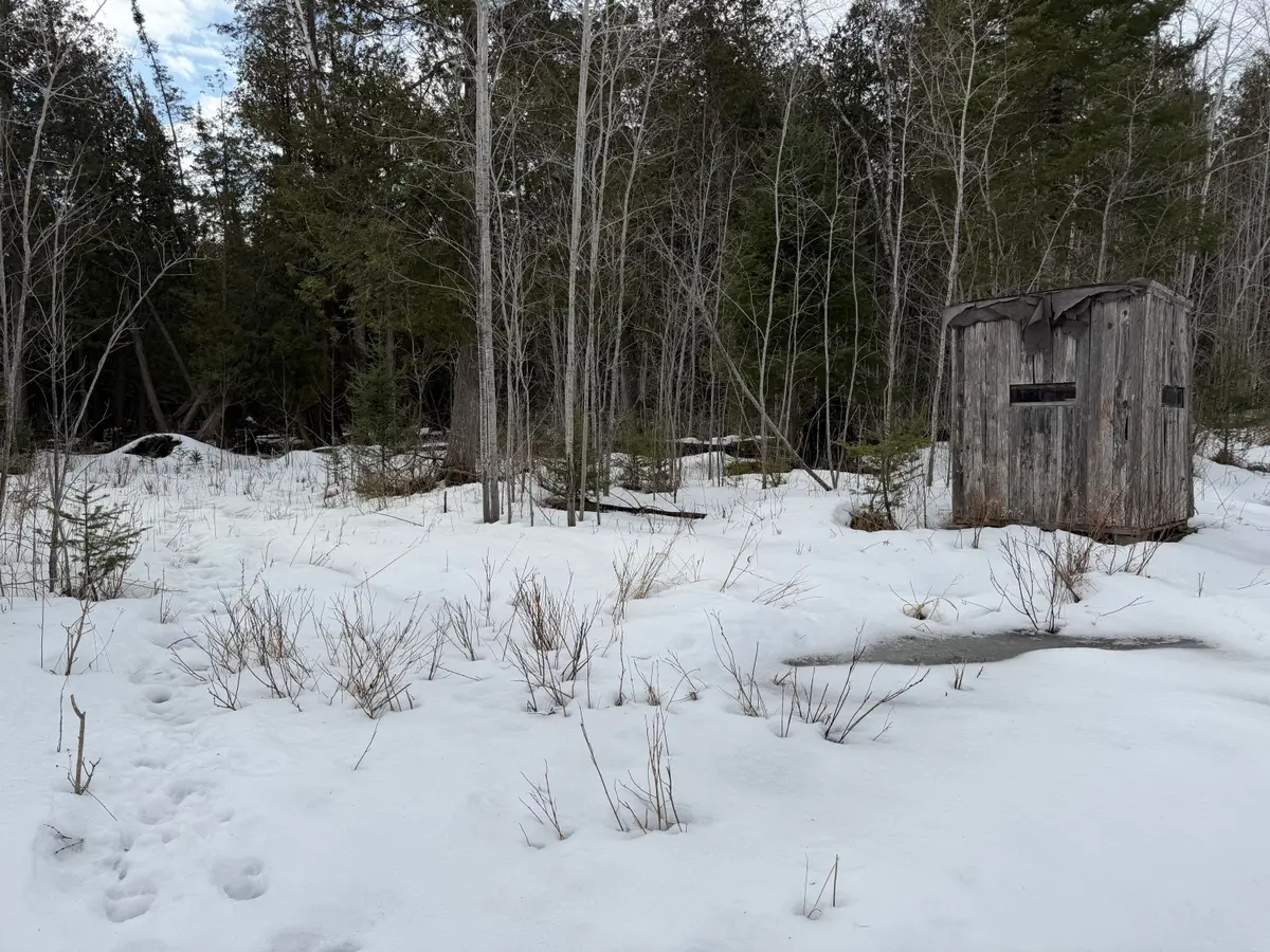 V/L 39.34A N Hubbard Lake, Hubbard Lake, MI 49747 - #1