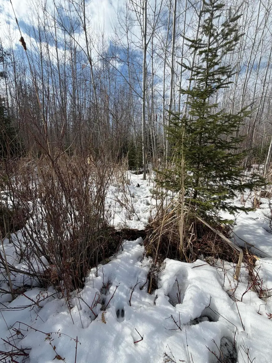 V/L 39.34A N Hubbard Lake, Hubbard Lake, MI 49747 - #3