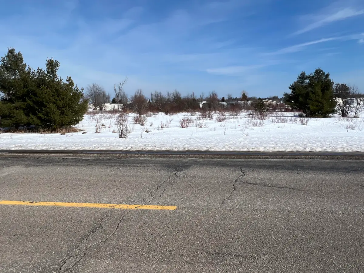 V/L 0.59AC Townline Road, Cheboygan, MI 49721 - #1
