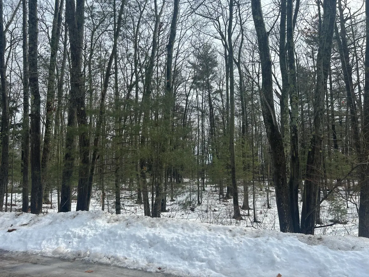 V/L Lot 15 South Ellen Drive, Harrisville, MI 48740 - #1