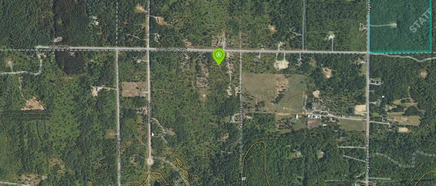 10 AC Old Stump Road, Gaylord, MI 49735 - #2