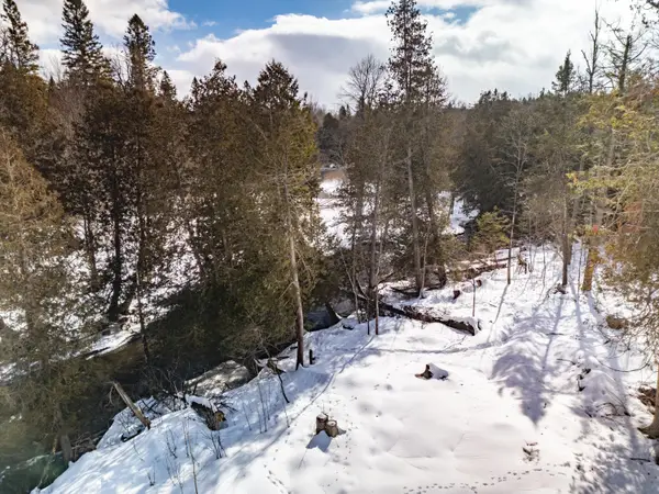 8993 S Straits Highway, Wolverine, MI 49799