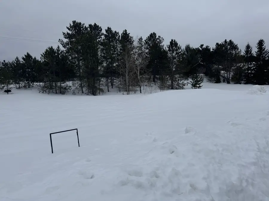 9091 Cumberland Drive, Mancelona, MI 49659 - #3