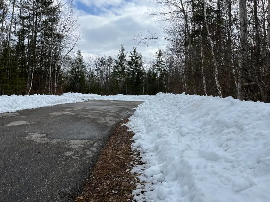 Lot 233 Timberway Court, Presque Isle, MI 49777 - #3