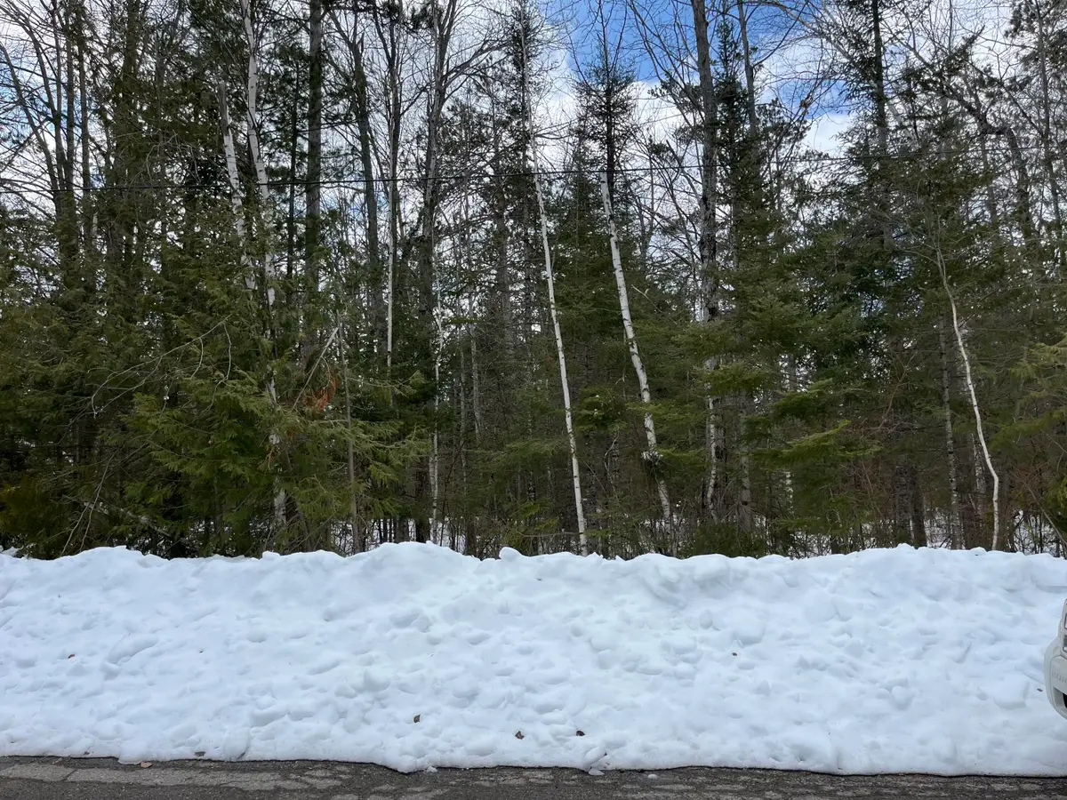 Lot 57 Clear Water Drive, Presque Isle, MI 49777 - #1