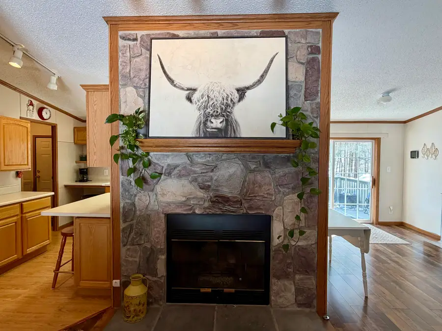 14200 Scenic Court, Cheboygan, MI 49721 - #2