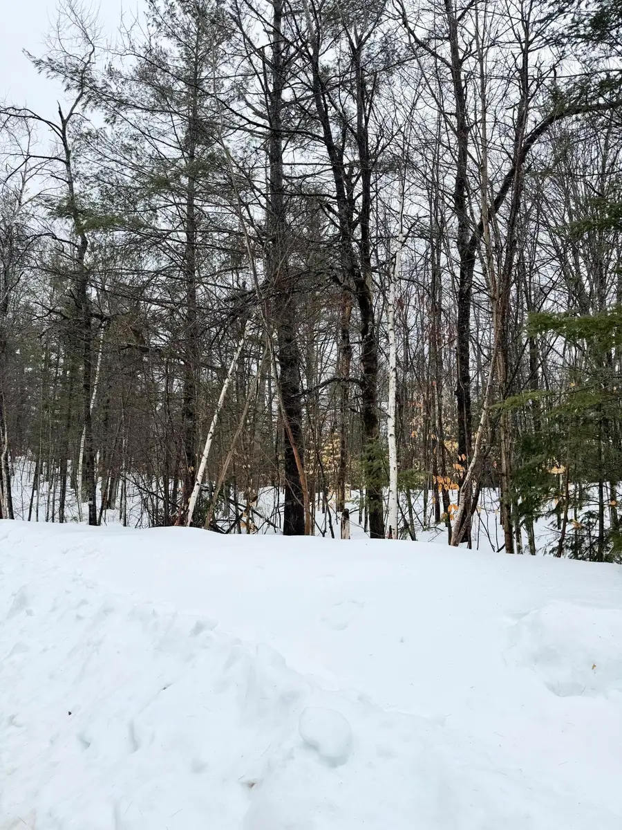 Lot 67 Birch Lane, Frederic, MI 49733 - #3