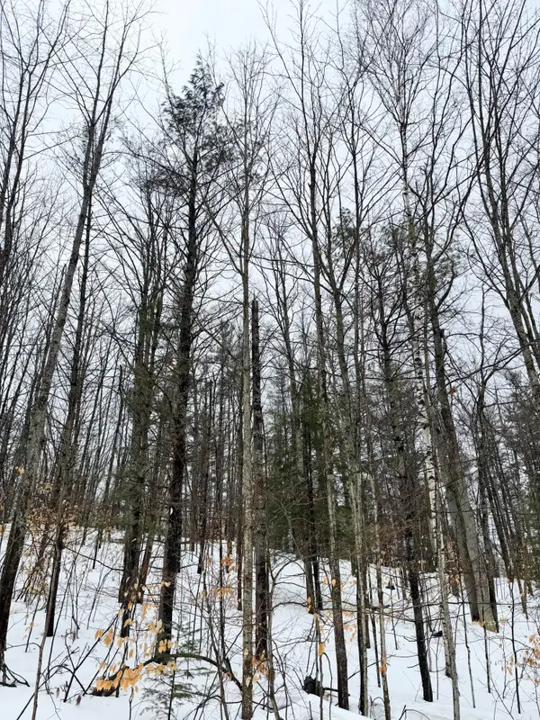 Lot 70 Birch Lane, Frederic, MI 49733